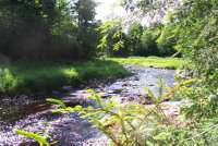 Middle Branch at destroyed bridge