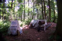 Camp at the end of the trail